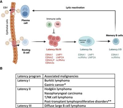 EBV-associated diseases: Current therapeutics and emerging technologies